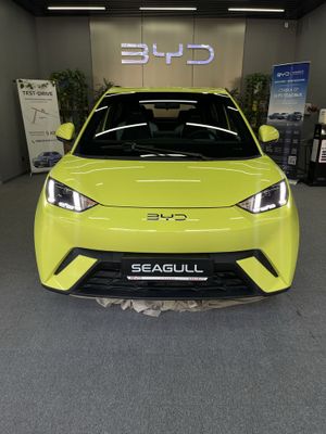 BYD SEAGULL full с гарнатией