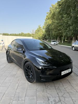 Тесла Model Y dual motor