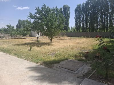 Ortasaroyda 3 sotix yer sotiladi