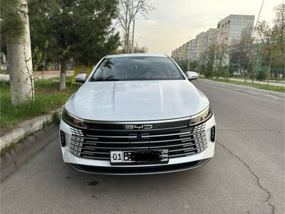 BYD Chazor chempion luxe 55km