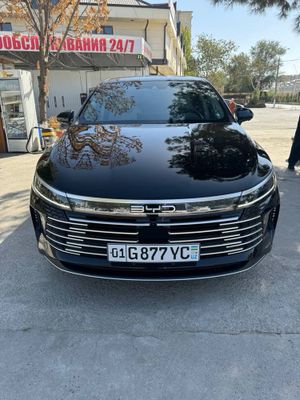 Byd chazor 2023 4poz