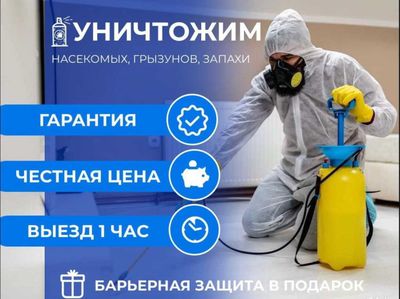 Дезинфекция Dezinfeksiya tarakan klop burga chivin ilon клоп таракан
