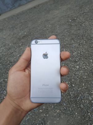 iPhone 6