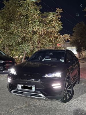 Byd champion 605 km full
