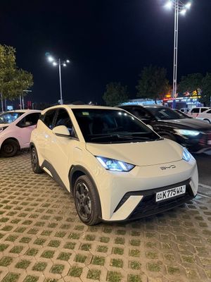 BYD Seagull Flying 405