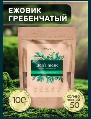 Lion's mane, он же Ежевик ежовик Гребечатый - 50% мицелий 50 плоды