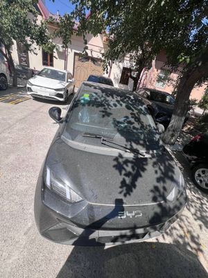Byd seagull eng fulli