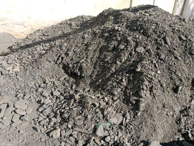 Дарё Шағали сотилади