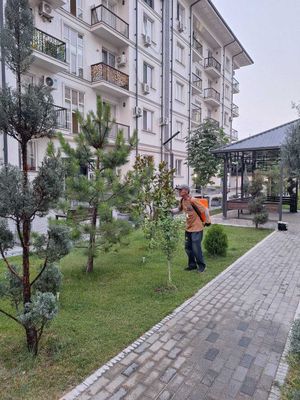 Сдается квартира