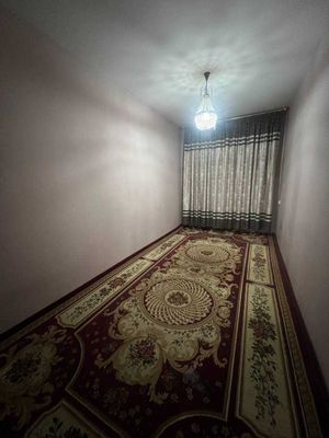 Эко бозор Чимган астановка