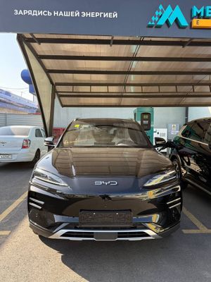 BYD Chempion SMART