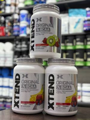 Xtend Bcaa Evropa 90ser