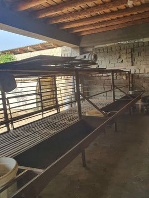 Qo’yxona sotiladi 18ta qoyga moljallangan