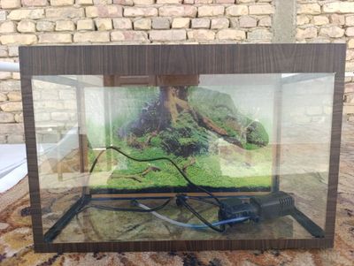 Akvarium tez va arzon sotiladi 20litrlik