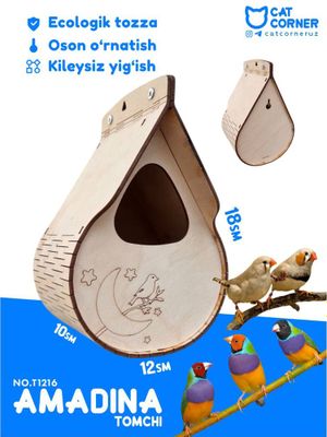 Amadina amadinka uyasi gnezdo tuhum
