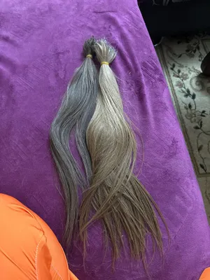 Soch sotaman tabiiysoch