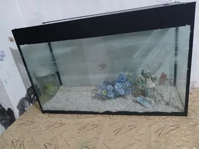 hamma narsasi bor  300 ming kelishadigan joyi bor