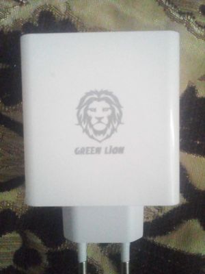 Zaryadchik 120 w