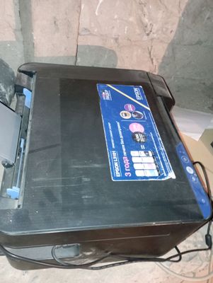 Prentir Epson 3101