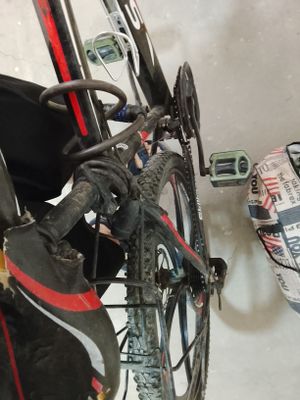 velosiped 24 ideal