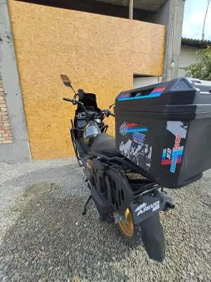 salkam yangi 2.5ming yurgan