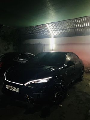 Byd Song L full pazitsa