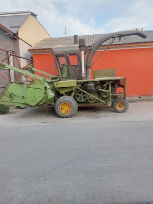 Maral kambayin sotiladi