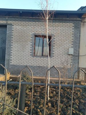 Balkonga ğisht teramiz oblisovka i prostoʻy kirpichom