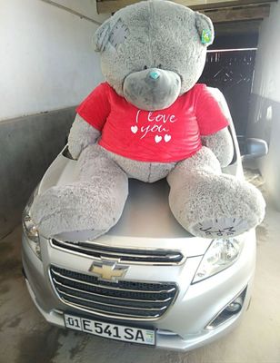 Teddy ayiglarmiz