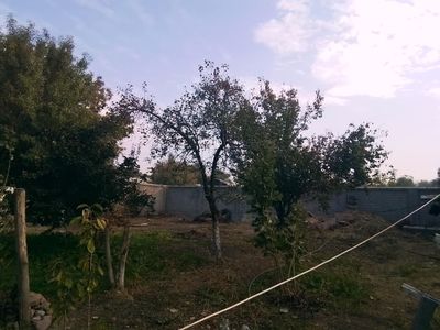 Yer uchastkasi sotiladi.Toshkent viloyati O'rta Chirchiq tumani