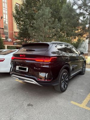 BYD CHAMPION 605 / 2024