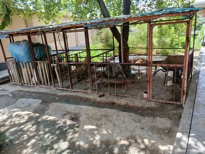 Куйхона сотилади куйхона сотилади куйхона сотилади куйхона сотилади Ку