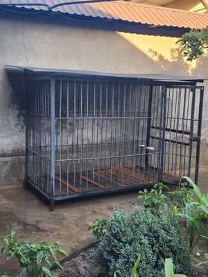 Валер для сабак 350$