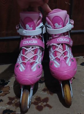Cougar firmasidan rolik