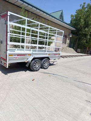 Холати янги йили 2025 буйи 3.5 ини 1.5 балантлиги 1.70 тел.