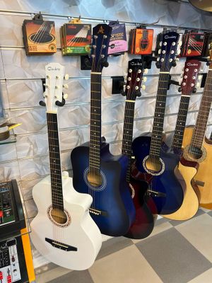 Gitara optm tashkent