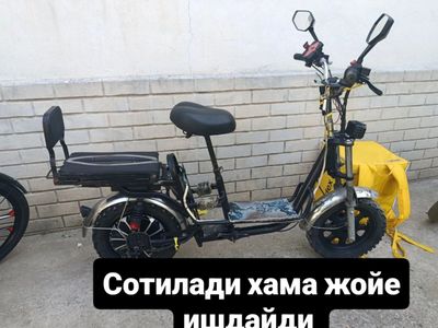 хаманарсаси бор