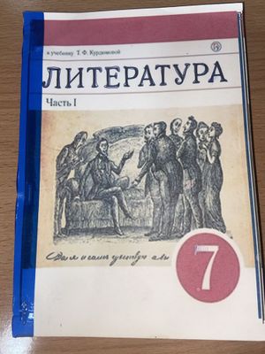 Учебники по литературе , 6-8 классы на русском языке