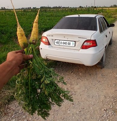 Sabzi sotiladi. Rishton Zohidon
