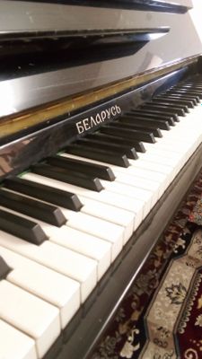 "Belarus" pioninasi