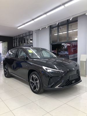 Neta L 310Km Gibrit 1 - yil Kafolat