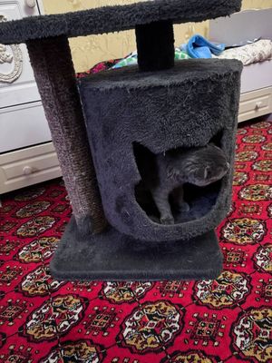 Продам кошачий домик с уютным пространством.С игровым площадью. новый.