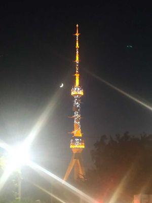Сдаётся Дом в центре Ташкента в экологически чистом районе на Бодомзор