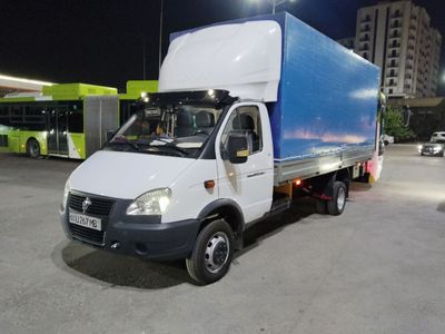 Gazel, газел 5.20