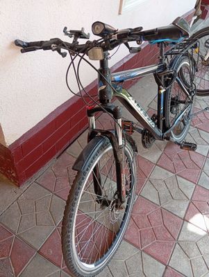 Velik spartivniy yengidey