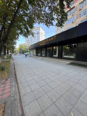 Ц-14 Ганга | 238кв - нежилое помещение вдоль дороги Аренда