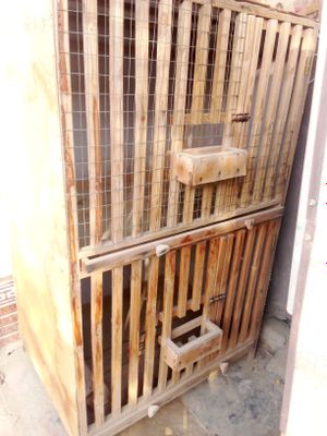Курятник .Уй парандаларга