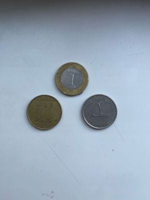 Arablarni tangalari noyob