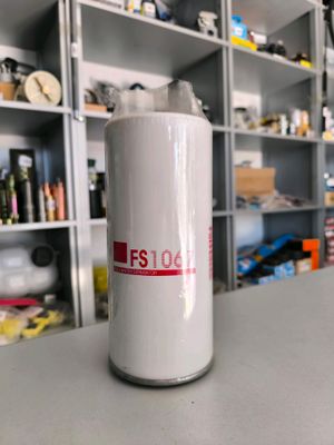 filtr FS 1067