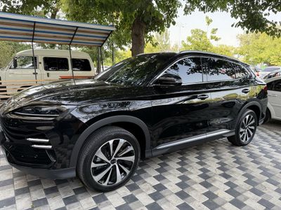 BYD chenpion 605 ful